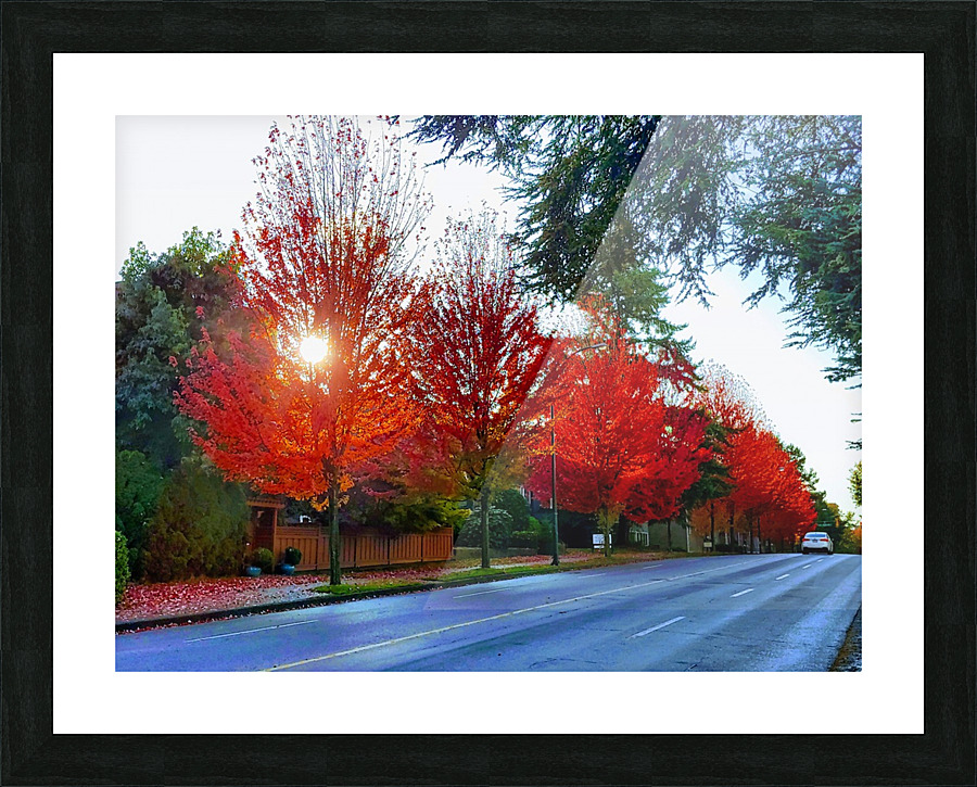 RED MAPLES Picture Frame print