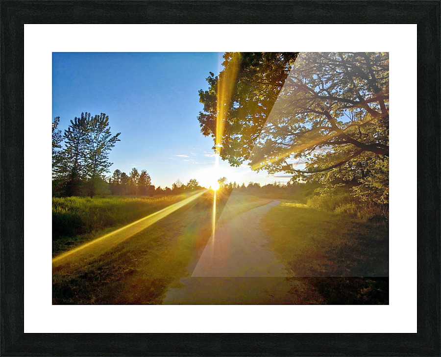 SUN LIGHT STREAK Picture Frame print