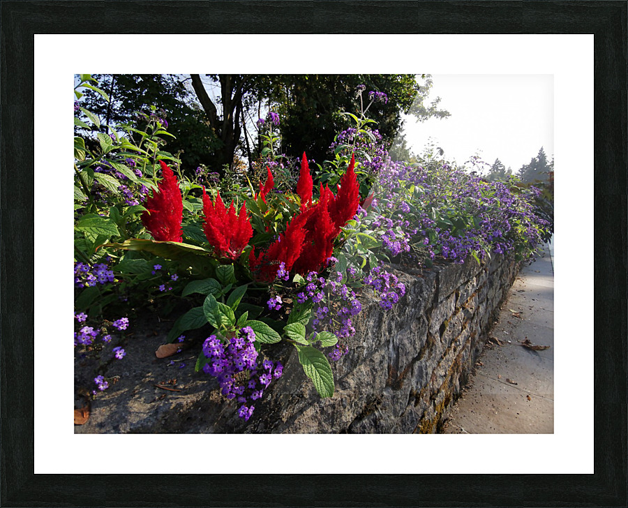 FLOWER GARDEN Picture Frame print