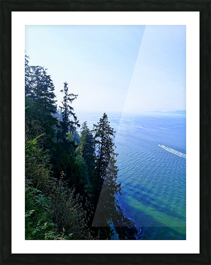 BUENA VISTA Picture Frame print