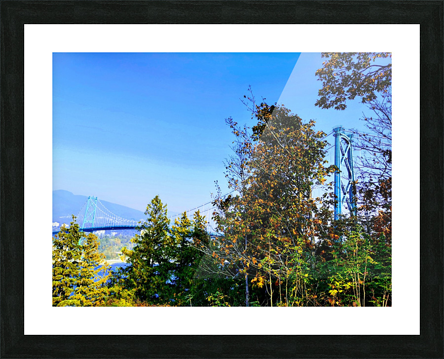 LIONS GATE Picture Frame print