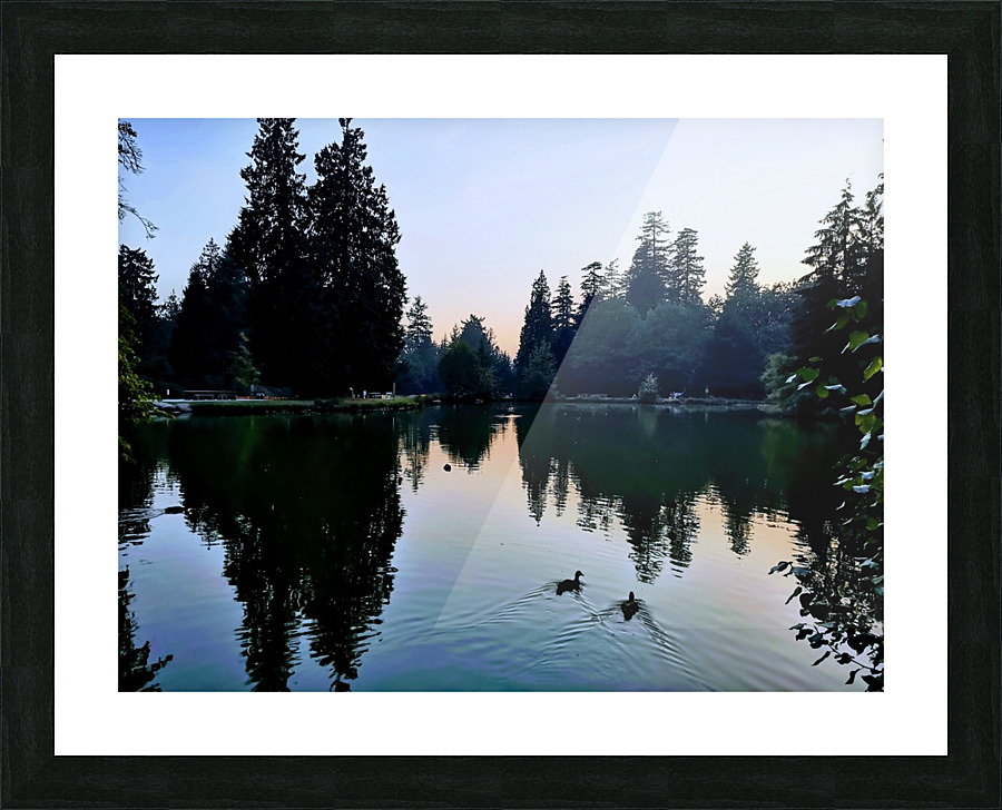 DUCK DUCK Picture Frame print