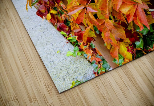 CLIMBING VINES Nat puzzle