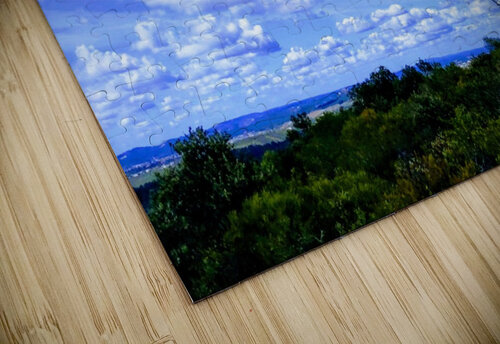 WINDMILLS Nat puzzle