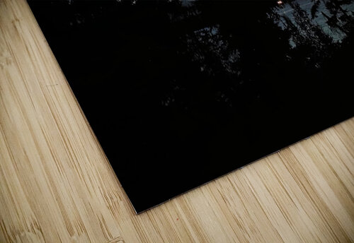 TWILIGHT LAKE Nat puzzle