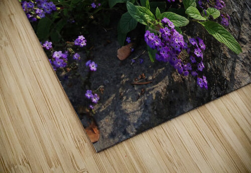 FLOWER GARDEN Nat puzzle