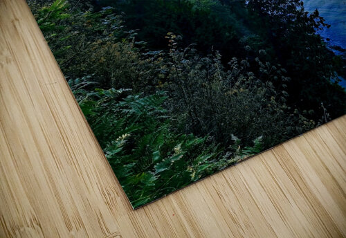 BUENA VISTA Nat puzzle