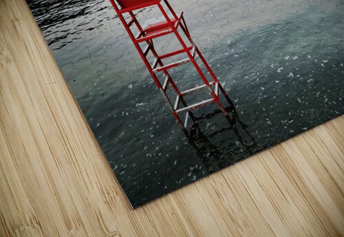 LIFEGUARD POST Nat puzzle