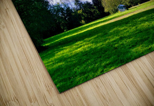 CABIN IN A CLEARING Nat puzzle