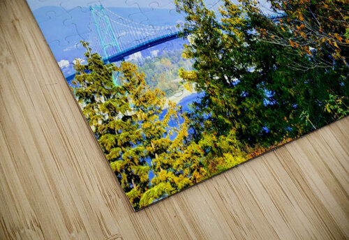 LIONS GATE Nat puzzle