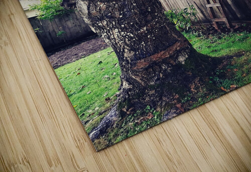 BACKYARD TREE Nat puzzle