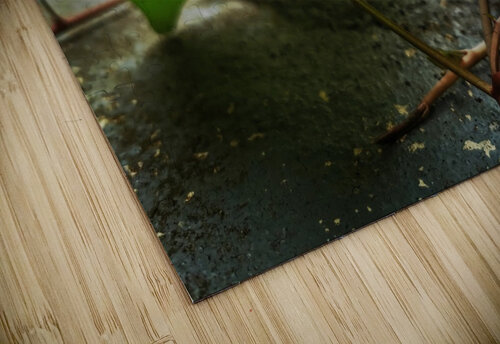 PATHWAY VINES Nat puzzle