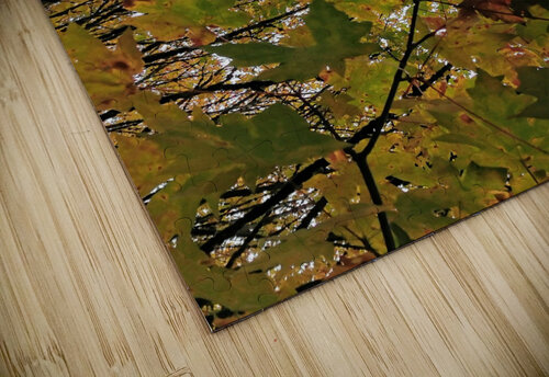 AUTUMN LEAVES Nat puzzle