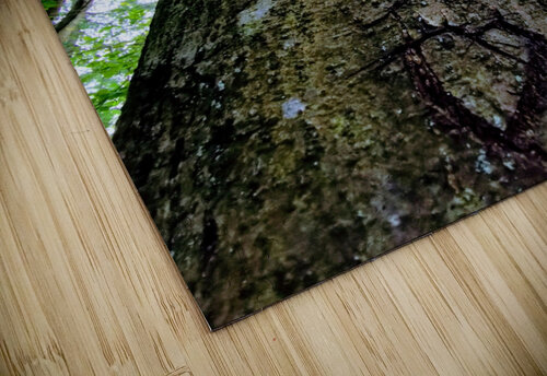 ETERNAL ETCHING Nat puzzle