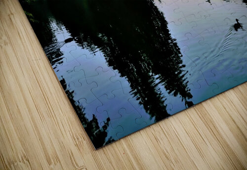DUCK DUCK Nat puzzle