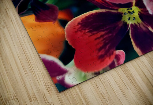 PETALS Nat puzzle