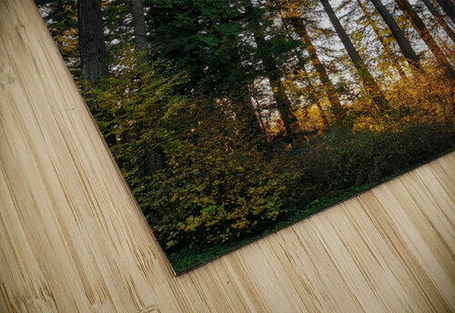 CHANGING TREES Nat puzzle