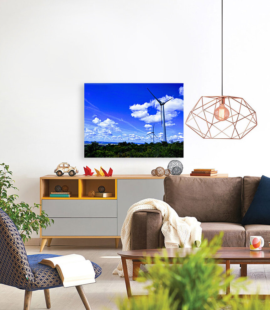 WINDMILLS Reproduction