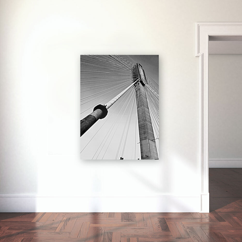 STRUNG UP Reproduction