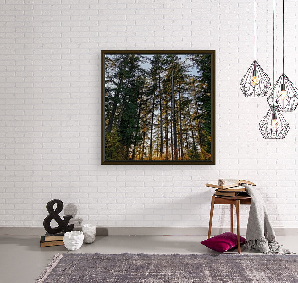 CHANGING TREES Reproduction