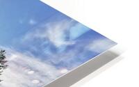 TREE LINE HD Metal print