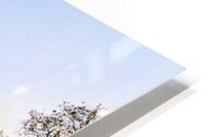 TOMAR HD Metal print