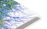 MOSSY BRANCHES HD Metal print