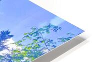 BURNABY CENTRAL HD Metal print