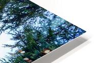 RED MAPLES HD Metal print