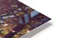 WHITE PINE PERCH HD Metal print
