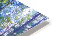 FOREST TRAIL HD Metal print