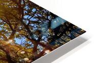 SUN LIGHT STREAK HD Metal print