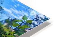 LOST LAGOON HD Metal print