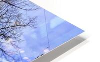 WINTER TREE HD Metal print