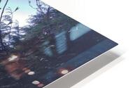 POND PARK HD Metal print