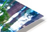SOLO MUSHROOM HD Metal print