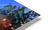 BLUE SKY SUNSHINE HD Metal print