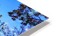 LIONS GATE HD Metal print