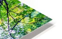 ETERNAL ETCHING HD Metal print