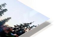 DUCK DUCK HD Metal print