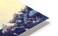 RIVERS PATH HD Metal print