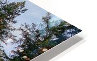 CHANGING TREES HD Metal print