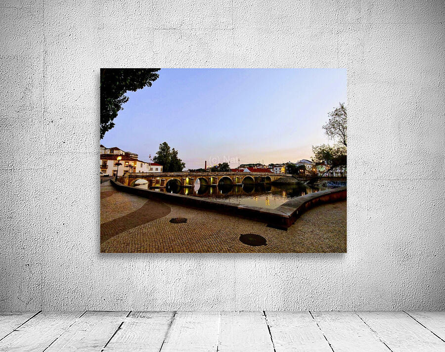 TOMAR Wall Preview