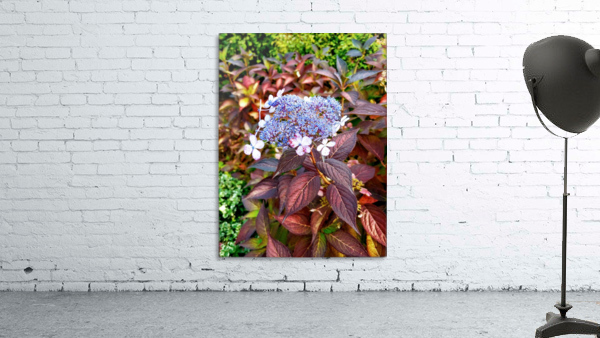 BLUE BLOSSOMS Wall Preview