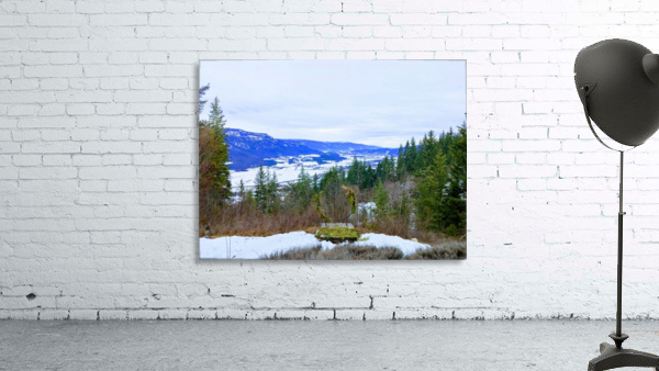 MOUNTAIN SIDE Wall Preview