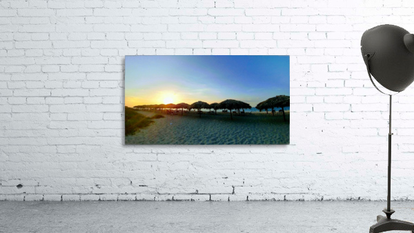 PALM UMBRELLAS Wall Preview
