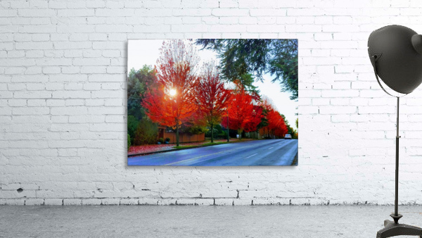RED MAPLES Wall Preview