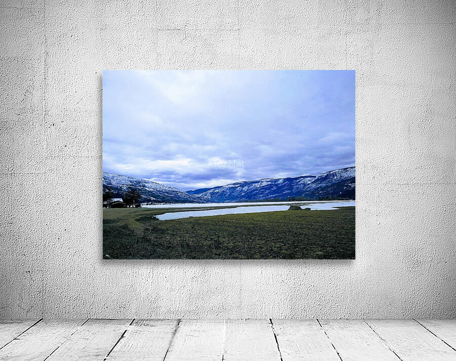 SALMON ARM Wall Preview