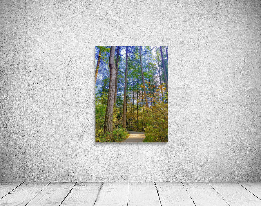 FOREST TRAIL Wall Preview