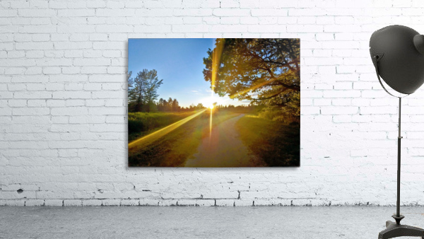 SUN LIGHT STREAK Wall Preview